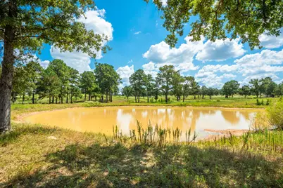 212 Meuth Cemetery Road, Red Rock, TX 78662 - Photo 17