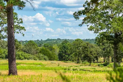 212 Meuth Cemetery Road, Red Rock, TX 78662 - Photo 15