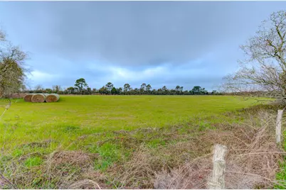 29241 Burton Cemetery Road, Waller, TX 77484 - Photo 21