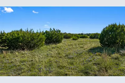 386 Appaloosa Run, Johnson City, TX 78663 - Photo 3