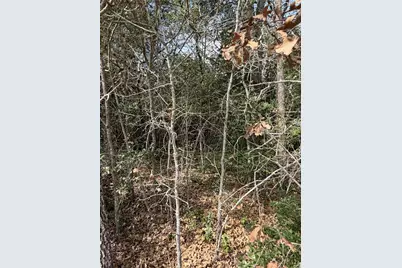 Lot 21 Flint Ridge Street, Bastrop, TX 78602 - Photo 5