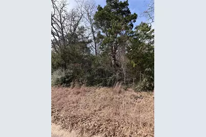 Lot 21 Flint Ridge Street, Bastrop, TX 78602 - Photo 7