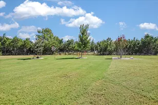 103 Mud Creek Cove, Georgetown, TX 78633 - Photo 21