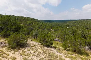 121 Spring Cove, Dripping Springs, TX 78620 - Photo 37
