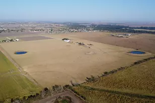 19919 Fm 973 Road N, Coupland, TX 78615 - Photo 19