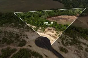 Lot 25 Ranch Road 165, Blanco, TX 78606 - Photo 1