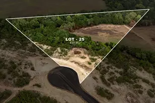 Lot 25 Ranch Road 165, Blanco, TX 78606 - Photo 1