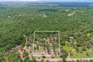 000 Pine Valley Loop, Smithville, TX 78612 - Photo 1