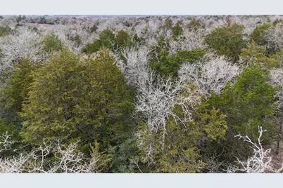 522 Fm 713, Rosanky, TX 78953 - Photo 11