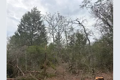 522 Fm 713, Rosanky, TX 78953 - Photo 13