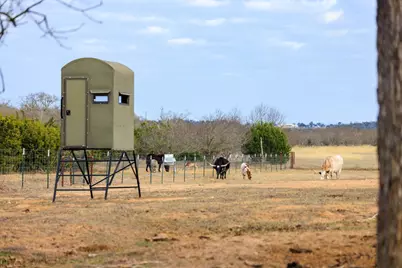 888 Dietrich Road, Fredericksburg, TX 78624 - Photo 29