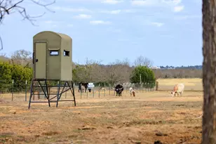 888 Dietrich Rd, Fredericksburg, TX 78624 - Photo 29