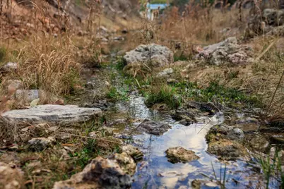 888 Dietrich Road, Fredericksburg, TX 78624 - Photo 31