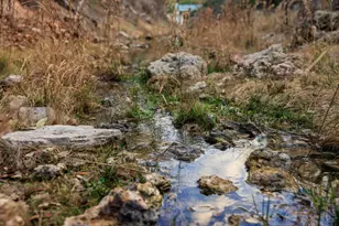 888 Dietrich Rd, Fredericksburg, TX 78624 - Photo 31