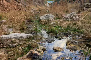 888 Dietrich Rd, Fredericksburg, TX 78624 - Photo 31