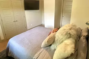 903 Cardinal, Austin, TX 78704 - Photo 15