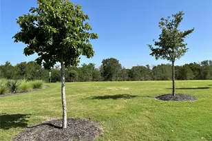 13410 Mussel Run, Elgin, TX 78621 - Photo 25