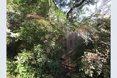 4409 Twisted Tree Drive, Austin, TX 78735 - Photo 31