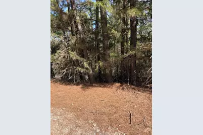 Lot 266 Wainee Drive, Bastrop, TX 78602 - Photo 1