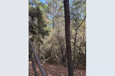 Lot 266 Wainee Drive, Bastrop, TX 78602 - Photo 5