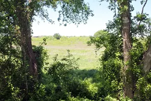 1023 Sierra Dr, Lockhart, TX 78644 - Photo 31