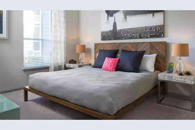 500 E Stassney Lane #00315, Austin, TX 78745 - Photo 3