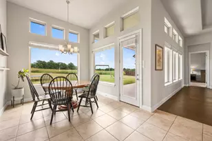 117 Cavalier Cove, Hutto, TX 78634 - Photo 13