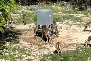 1802 Cattail Dr, Canyon Lake, TX 78133 - Photo 37