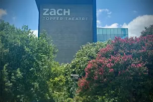 1135 Barton Hills Dr, Austin, TX 78704 - Photo 23