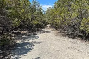 11351 Johnson Rd, Leander, TX 78641 - Photo 3