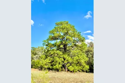 Tbd 50.62 Acres Rabel Road, Rosanky, TX 78953 - Photo 9