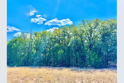 Tbd 50.62 Acres Rabel Road, Rosanky, TX 78953 - Photo 19