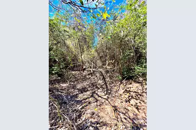 Tbd 50.62 Acres Rabel Road, Rosanky, TX 78953 - Photo 7