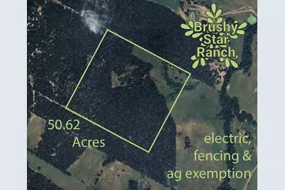 Tbd 50.62 Acres Rabel Road, Rosanky, TX 78953 - Photo 23