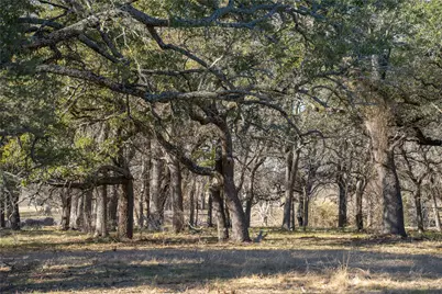 Tbd US 190 Highway, Lometa, TX 76853 - Photo 5