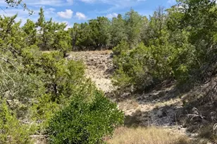 1970 Martin Rd, Dripping Springs, TX 78620 - Photo 23