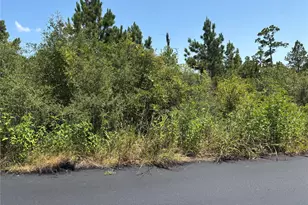 106 Homonu Ct, Bastrop, TX 78602 - Photo 1