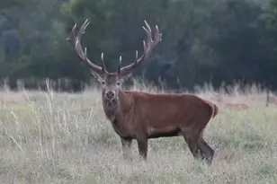 0 River Shoals Dr, Kempner, TX 76539 - Photo 3