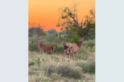 0 River Shoals Drive, Kempner, TX 76539 - Photo 23