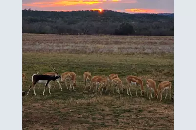 0 River Shoals Drive, Kempner, TX 76539 - Photo 21