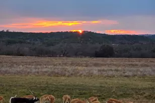 0 River Shoals Dr, Kempner, TX 76539 - Photo 21