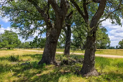 Lot 88 Stock Pond Drive, Harper, TX 78631 - Photo 7
