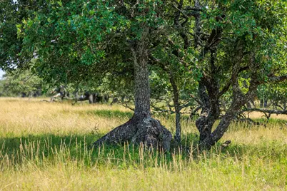 Lot 88 Stock Pond Drive, Harper, TX 78631 - Photo 35
