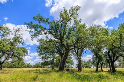 Lot 88 Stock Pond Drive, Harper, TX 78631 - Photo 3