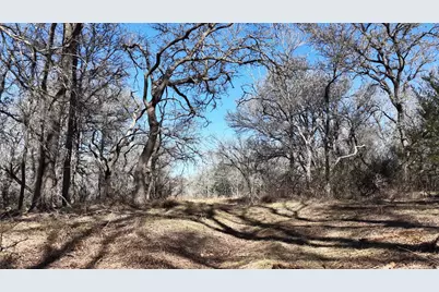 Tbd Lytton Lane, Dale, TX 78616 - Photo 9