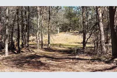 Tbd Lytton Lane, Dale, TX 78616 - Photo 3