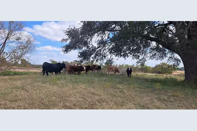 3432 County Road 206 Road N, Cameron, TX 76520 - Photo 19