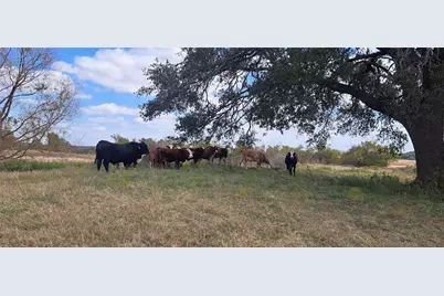 3432 County Road 206 Road N, Cameron, TX 76520 - Photo 19