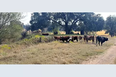 3432 County Road 206 Road N, Cameron, TX 76520 - Photo 17