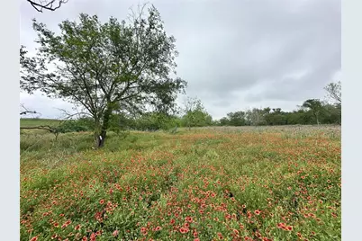 379 Vintners Way, Fredericksburg, TX 78624 - Photo 21